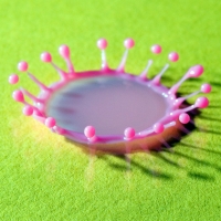 SGI New York&rsquo;s Treasure Tower Project